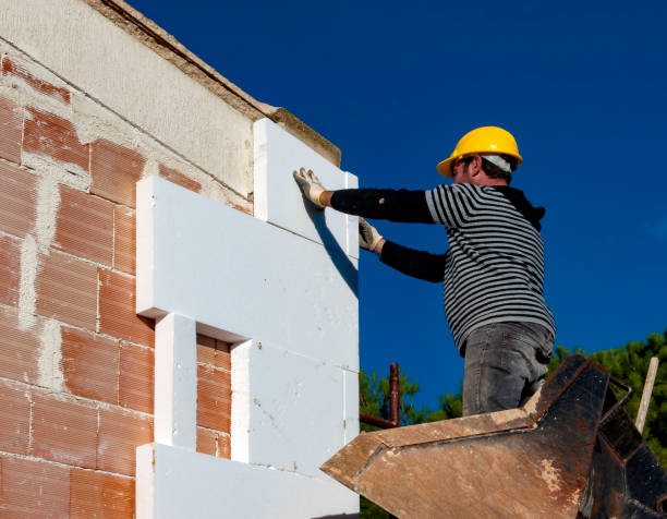 Best Eco-Friendly Insulation in Los Lunas, NM