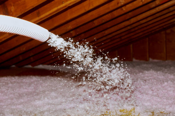 Best Eco-Friendly Insulation in Los Lunas, NM