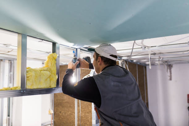 Best Geographic-Specific Insulation Services in Los Lunas, NM