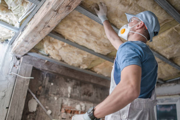 Best Insulation for Specific Applications in Los Lunas, NM