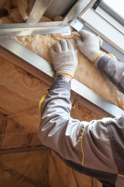 Best Blown-in Insulation in Los Lunas, NM