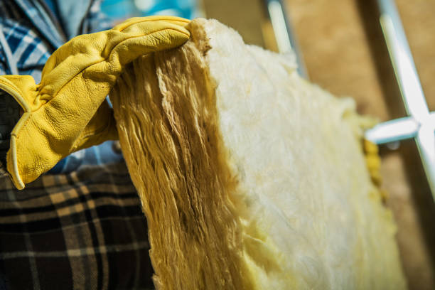 Best Cellulose Insulation in Los Lunas, NM